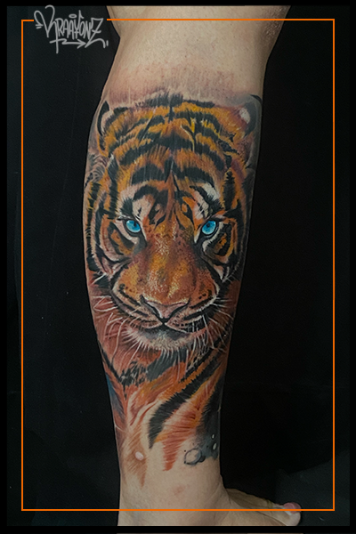 Tiger Tattoo on leg by sameer patange